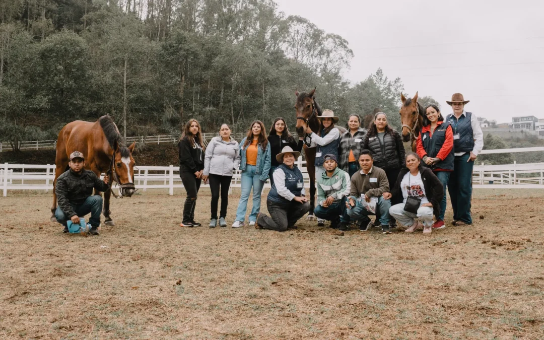 Programa Oportunidades impulsa espacios de bienestar integral a través de terapia asistida con caballos